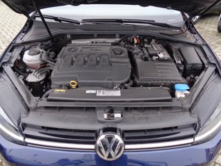 VOLKSWAGEN Golf 5p 1.6 tdi business 115cv dsg